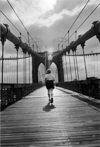 © 1994 Bruno DALIMONTE