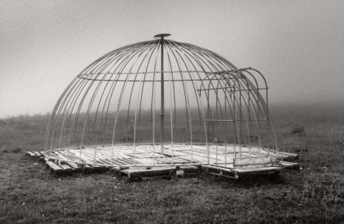 CAGE