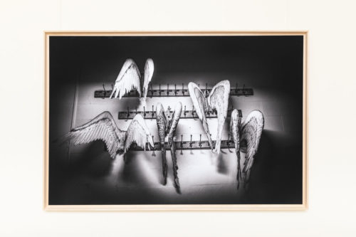 Œuvre "Dépôt d'ailes d'anges"