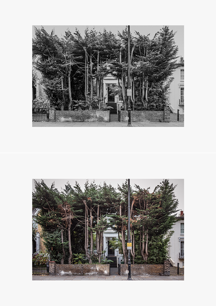 Stratagème du naturaliste, oeuvre de Bruno D'Alimonte